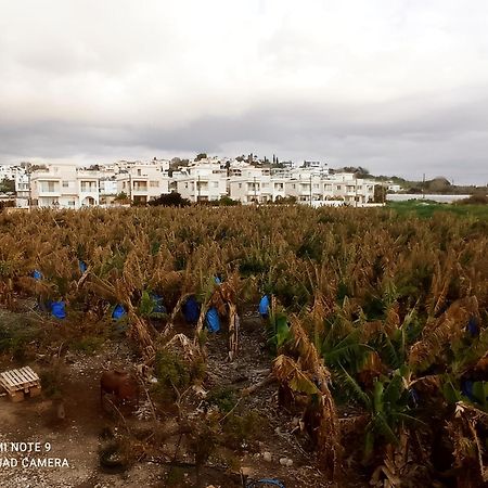 Blue Seaview Appartments بافوس المظهر الخارجي الصورة