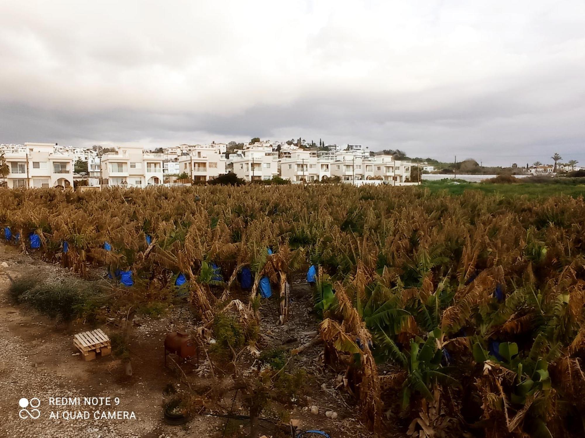 Blue Seaview Appartments بافوس المظهر الخارجي الصورة
