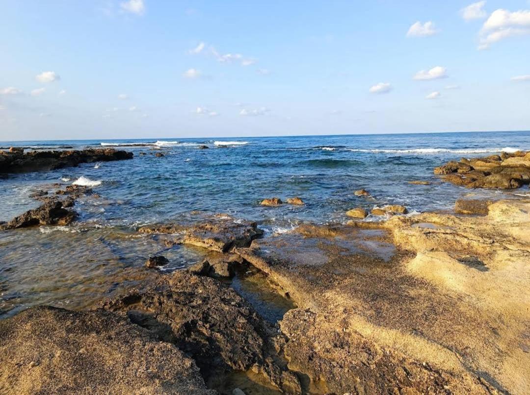 Blue Seaview Appartments بافوس المظهر الخارجي الصورة