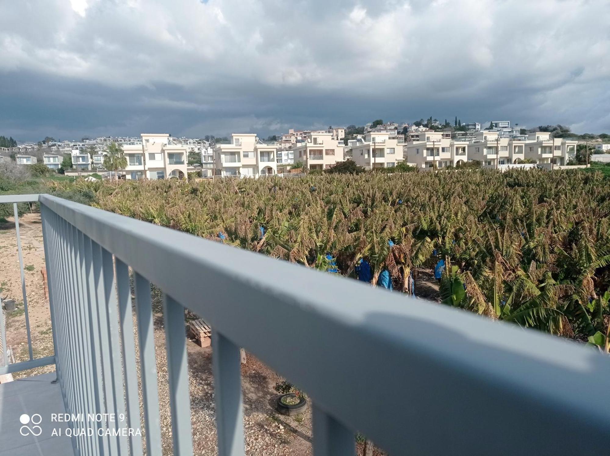 Blue Seaview Appartments بافوس المظهر الخارجي الصورة